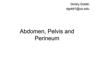 Abdomen, Pelvis and Perineum Dmitry Goldin [email_address] 