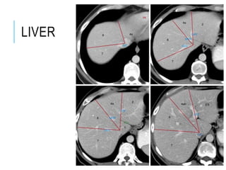 LIVER
 