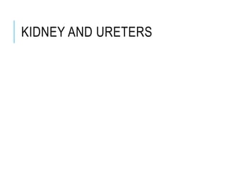 KIDNEY AND URETERS
 