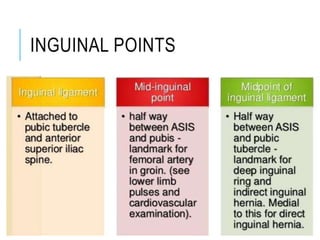 INGUINAL POINTS
 