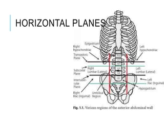 HORIZONTAL PLANES
 