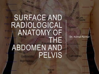 SURFACE AND
RADIOLOGICAL
ANATOMY OF
THE
ABDOMEN AND
PELVIS
Dr. Komal Parmar
 
