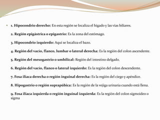  recto  interior  del abdomen.