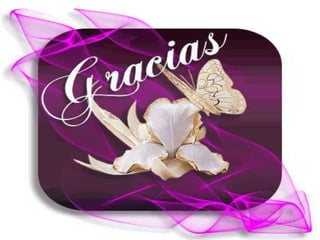  músculos  posteriores