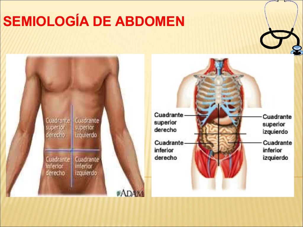 Semiologia de Abdomen