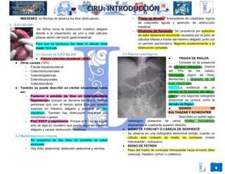 Triada Rigeler ABDOMEN 25 (2).pdfABDOMEN 25 (2).pdfABDOMEN 25 (2).pdf