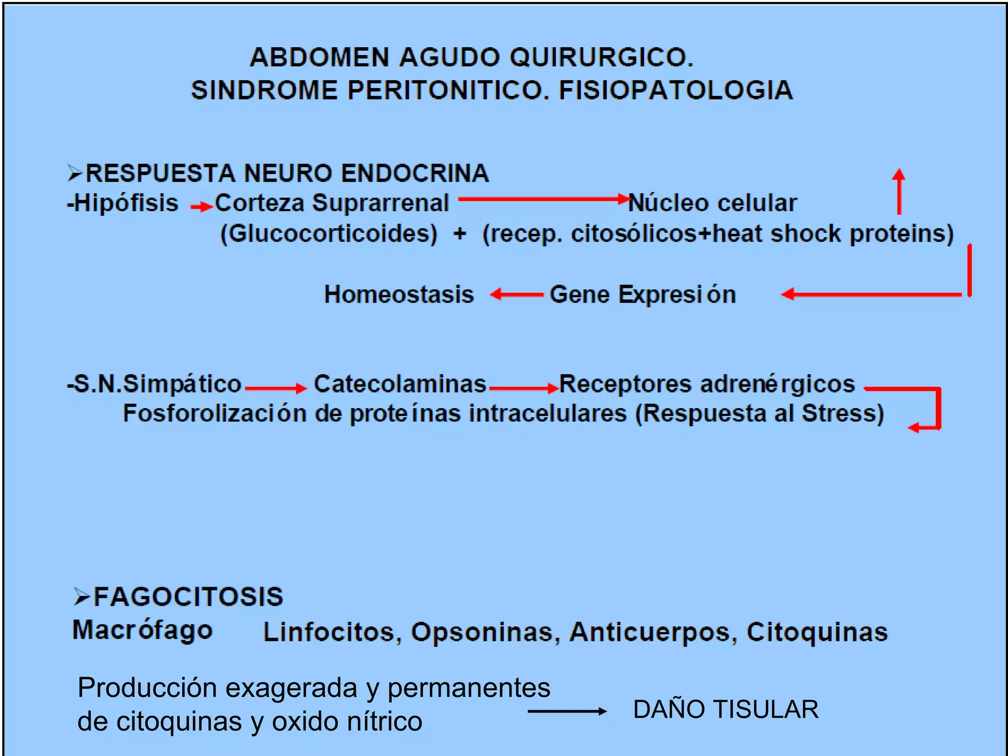 Producción exagerada y permanentes
                                     DAÑO TISULAR
de citoquinas y oxido nítrico
 