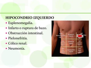 HIPOCONDRIO IZQUIERDO
 Esplenomegalia.
 Infarto o ruptura de bazo.
 Obstrucción intestinal.
 Pielonefritis.
 Cólico renal.
 Neumonía.
 