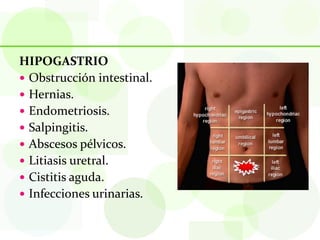 HIPOGASTRIO
 Obstrucción intestinal.
 Hernias.
 Endometriosis.
 Salpingitis.
 Abscesos pélvicos.
 Litiasis uretral.
 Cistitis aguda.
 Infecciones urinarias.
 
