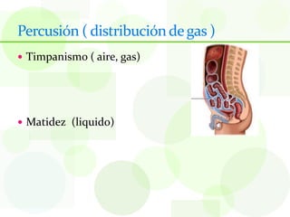 Percusión ( distribución de gas )
 Timpanismo ( aire, gas)




 Matidez (liquido)
 