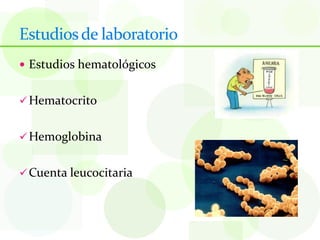 Estudios de laboratorio
 Estudios hematológicos


 Hematocrito


 Hemoglobina


 Cuenta leucocitaria
 