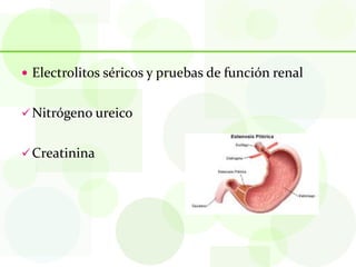  Electrolitos séricos y pruebas de función renal


 Nitrógeno ureico


 Creatinina
 