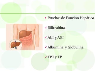  Pruebas de Función Hepática


 Bilirrubina


 ALT y AST


 Albumina y Globulina


 TPT y TP
 