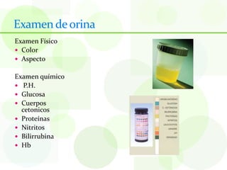 Examen de orina
Examen Físico
 Color
 Aspecto


Examen químico
 P.H.
 Glucosa
 Cuerpos
  cetonicos
 Proteínas
 Nitritos
 Bilirrubina
 Hb
 