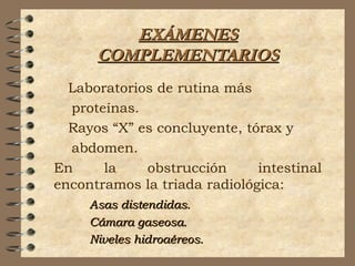 EXÁMENESEXÁMENES
COMPLEMENTARIOSCOMPLEMENTARIOS
Laboratorios de rutina más
proteínas.
Rayos “X” es concluyente, tórax y
abdomen.
En la obstrucción intestinal
encontramos la triada radiológica:
Asas distendidas.Asas distendidas.
Cámara gaseosa.Cámara gaseosa.
Niveles hidroaéreos.Niveles hidroaéreos.
 