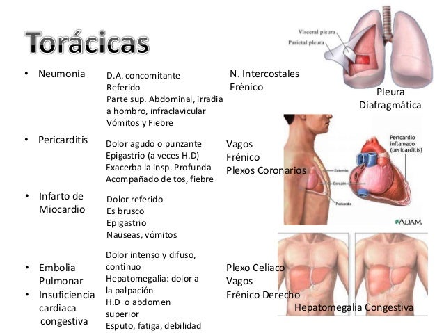 Duele la cabeza y el cuello la debilidad la náusea