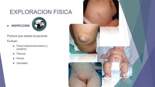 EXPLORACION FISICA


INSPECCION

Postura que adopta el paciente
Evaluar :


Pared abdominal anterior y
posterior



Flancos



Periné



Genitales

 