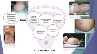 EXCAVADO
DELANTAL
GLOBOSO
BATRACIO

Tipo de
Abdomen:
Forma,
Superficie
y Simetría.

Características
del Vello
Pubiano

Características
del ombligo



Circulación
colateral

Características
de la piel

CARACTERISTICAS

 