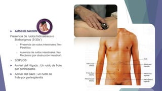 

AUSCULTACION

Presencia de ruidos hidroaéreos o
Borborigmos (5-30x’)
o

Presencia de ruidos intestinales: Íleo
Paralítico

o

Ausencia de ruidos intestinales: Íleo
Mecánico (por obstrucción intestinal)



SOPLOS



A nivel del Hígado : Un ruido de frote
por perihepatitis



A nivel del Bazo : un ruido de
frote por periesplenitis

 