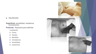

PALPACION

Superficial: sensibilidad, resistencia,
tumoraciones.
Profunda : Necesaria para delimitar
Localización


Forma



Tamaño



Movilidad



Consistencia



Sensibilidad



pulsaciones

 