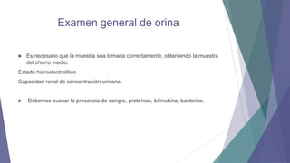 Examen general de orina


Es necesario que la muestra sea tomada correctamente, obteniendo la muestra
del chorro medio.

Estado hidroelectrolítico
Capacidad renal de concentración urinaria.



Debemos buscar la presencia de sangre, proteínas, bilirrubina, bacterias.

 