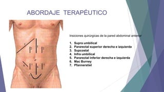 ABORDAJE TERAPÉUTICO

Insiciones quirúrgicas de la pared abdominal anterior

1.
2.
3.
4.
5.
6.
7.

Supra umbilical
Pararectal superior derecha e izquierda
Supcostal
Infra umbilical
Pararectal inferior derecha e izquierda
Mac Burney
Pfannerstiel

 