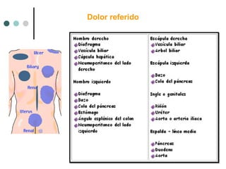 Dolor referido

 