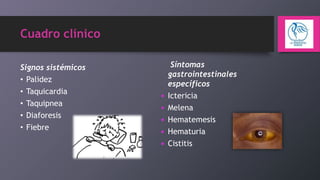 Cuadro clínico
Signos sistémicos
• Palidez
• Taquicardia
• Taquipnea
• Diaforesis
• Fiebre








Síntomas
gastrointestinales
específicos
Ictericia
Melena
Hematemesis
Hematuria
Cistitis

 