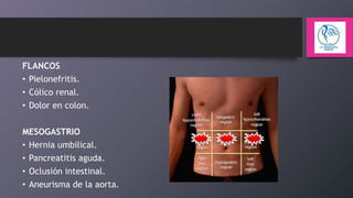 FLANCOS
• Pielonefritis.
• Cólico renal.
• Dolor en colon.
MESOGASTRIO
• Hernia umbilical.
• Pancreatitis aguda.

• Oclusión intestinal.
• Aneurisma de la aorta.

 