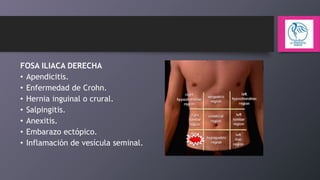FOSA ILIACA DERECHA
• Apendicitis.
• Enfermedad de Crohn.
• Hernia inguinal o crural.
• Salpingitis.
• Anexitis.
• Embarazo ectópico.
• Inflamación de vesícula seminal.

 