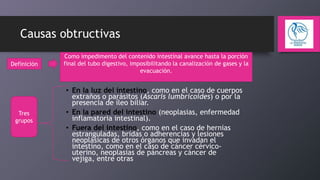 Causas obtructivas
Definición

Tres
grupos

Como impedimento del contenido intestinal avance hasta la porción
final del tubo digestivo, imposibilitando la canalización de gases y la
evacuación.

• En la luz del intestino, como en el caso de cuerpos
extraños o parásitos (Ascaris lumbricoides) o por la
presencia de íleo biliar.
• En la pared del intestino (neoplasias, enfermedad
inflamatoria intestinal).
• Fuera del intestino, como en el caso de hernias
estranguladas, bridas o adherencias y lesiones
neoplásicas de otros órganos que invadan el
intestino, como en el caso de cáncer cérvicouterino, neoplasias de páncreas y cáncer de
vejiga, entre otras

 