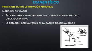 EXAMEN FÍSICO
PRINCIPALES SIGNOS DE IRRITACIÓN PERITONEAL
SIGNO DEL OBTURADOR
• PROCESO INFLAMATORIO PELVIANO EN CONTACTO CON EL MÚSCULO
OBTURADOR INTERNO
• LA ROTACIÓN INTERNA PASIVA DE LA CADERA OCASIONA DOLOR
 
