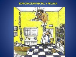 EXPLORACION RECTAL Y PELVICA
 