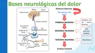 ABDOMEN_AGUDO.ABDOMEN_AGUDOABDOMEN_AGUDO | PPTX