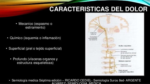 Libros De Semiologia Medica Argente Alvarez Pdf