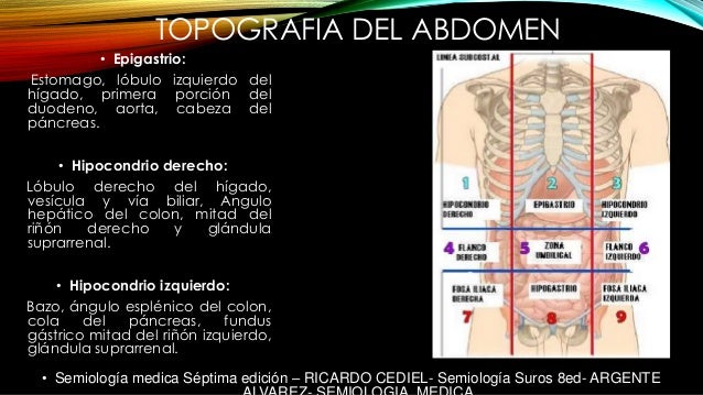 Semiologia Pdf Semiologia Pdf