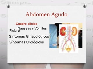 Abdomen Agudo
Cuadro clínico
Nauseas y Vómitos
Fiebre
Síntomas Ginecológicos
Síntomas Urológicos
 