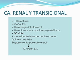 CA. RENAL Y TRANSICIONAL
 