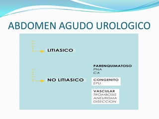 ABDOMEN AGUDO UROLOGICO
 