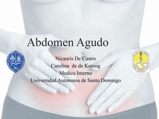 Abdomen Agudo
Nicauris De Castro
Carolina de de Koning
Medico Interno
Universidad Autonoma de Santo Domingo
 