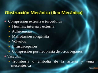 Obstrucción Mecánica (Ileo Mecánico)
 Compresión externa o torceduras
 Hernias: interna y externa
 Adherencias
 Malrotación congénita
 Vólvulos
 Intususcepción
 Compresión por neoplasia de otros órganos
 Vascular
 Trombosis o embolia de la arteria y vena
mesentérica
 