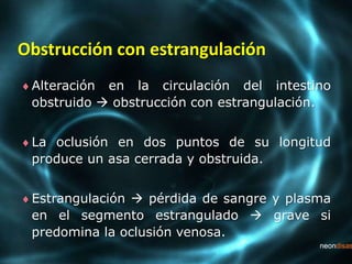 Obstrucción con estrangulación
Alteración en la circulación del intestino
obstruido  obstrucción con estrangulación.
La oclusión en dos puntos de su longitud
produce un asa cerrada y obstruida.
Estrangulación  pérdida de sangre y plasma
en el segmento estrangulado  grave si
predomina la oclusión venosa.
 