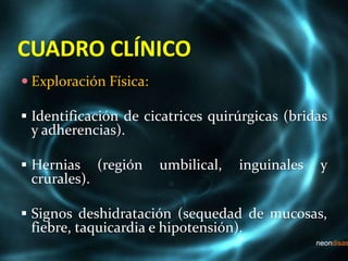 CUADRO CLÍNICO
 Exploración Física:
 Identificación de cicatrices quirúrgicas (bridas
y adherencias).
 Hernias (región umbilical, inguinales y
crurales).
 Signos deshidratación (sequedad de mucosas,
fiebre, taquicardia e hipotensión).
 