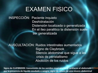 EXAMEN FISICO
INSPECCIÓN: Paciente inquieto
Deshidratación
Distensión localizada o generalizada
En el íleo paralitico la distensión suele
ser generalizada
AUSCULTACIÓN: Ruidos intestinales aumentados
Signo de Claybrook
Silencio abdominal que sigue a las
crisis de peristaltismo
Abolición de los ruidos
Signo de CLAYBROOK: transmisión de los sonidos respiratorios y cardiacos al abdomen
por la presencia de líquido exudado o sangre; signo de rotura de una víscera abdominal
 