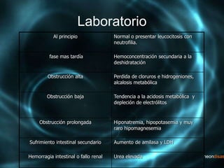 Laboratorio
Al principio Normal o presentar leucocitosis con
neutrofilia.
fase mas tardía Hemoconcentración secundaria a la
deshidratación
Obstrucción alta Perdida de cloruros e hidrogeniones,
alcalosis metabólica
Obstrucción baja Tendencia a la acidosis metabólica y
depleción de electrólitos
Obstrucción prolongada Hiponatremia, hipopotasemia y muy
raro hipomagnesemia
Sufrimiento intestinal secundario Aumento de amilasa y LDH
Hemorragia intestinal o fallo renal Urea elevada
 