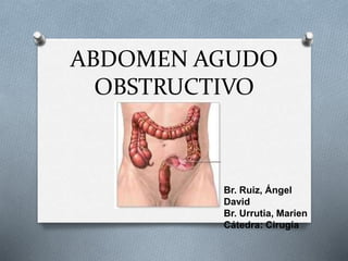 ABDOMEN AGUDO
OBSTRUCTIVO
Br. Ruiz, Ángel
David
Br. Urrutia, Marien
Cátedra: Cirugía
 