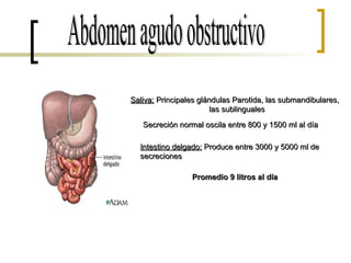 Abdomen agudo obstructivo Saliva:  Principales glándulas Parotida, las submandibulares,  las sublinguales Secreción normal oscila entre 800 y 1500 ml al día Intestino delgado:  Produce entre 3000 y 5000 ml de secreciones Promedio 9 litros al día 