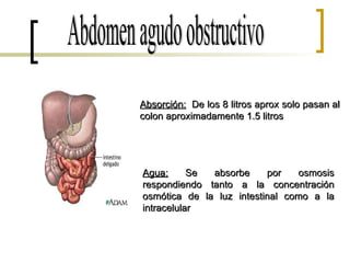 Abdomen agudo obstructivo Absorción:   De los 8 litros aprox solo pasan al colon aproximadamente 1.5 litros Agua:  Se absorbe por osmosis respondiendo tanto a la concentración osmótica de la luz intestinal como a la intracelular 