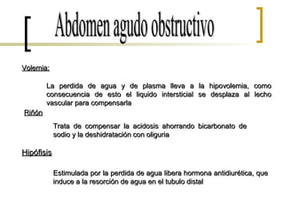Abdomen agudo obstructivo Volemia: La perdida de agua y de plasma lleva a la hipovolemia, como consecuencia de esto el liquido intersticial se desplaza al lecho vascular para compensarla Riñón Trata de compensar la acidosis ahorrando bicarbonato de sodio y la deshidratación con oliguria Hipófisis Estimulada por la perdida de agua libera hormona antidiurética, que induce a la resorción de agua en el tubulo distal 
