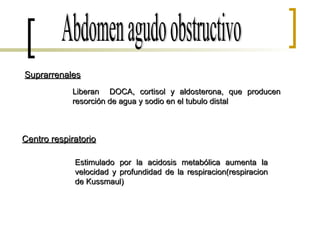 Abdomen agudo obstructivo Suprarrenales Liberan  DOCA, cortisol y aldosterona, que producen resorción de agua y sodio en el tubulo distal Centro respiratorio Estimulado por la acidosis metabólica aumenta la velocidad y profundidad de la respiracion(respiracion de Kussmaul) 